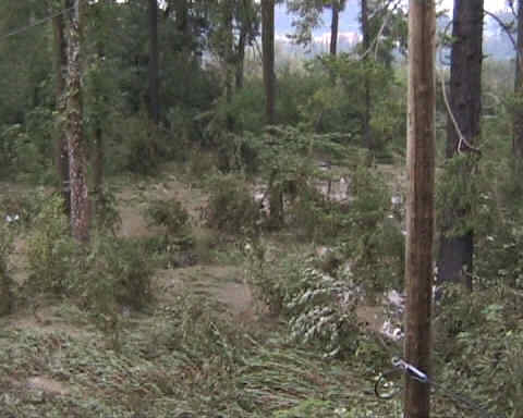 Hochwasser 2005