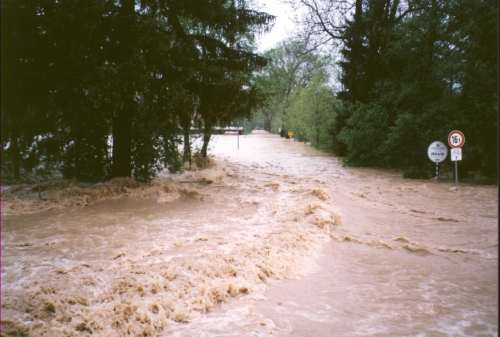 Hochwasserfolgen