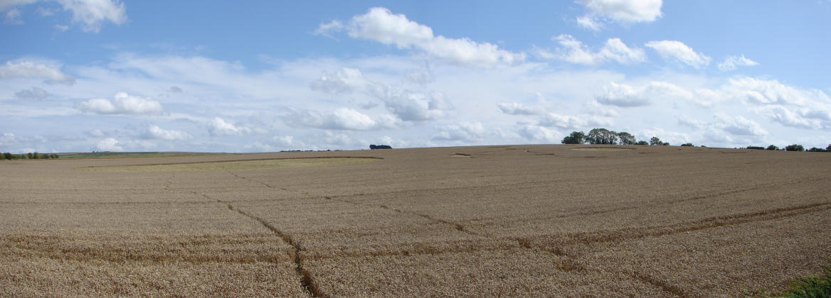 Steinkreise in Avebury
