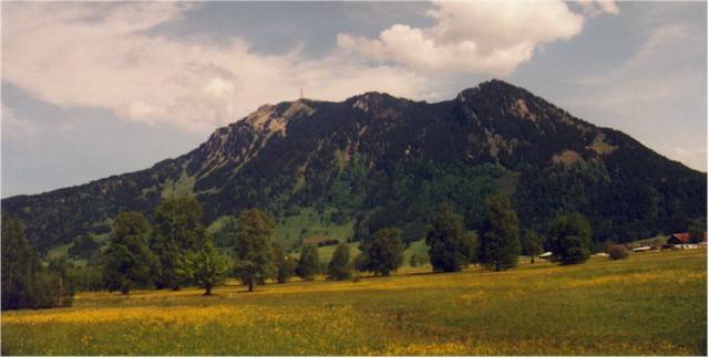 Gr&uuml;nten
