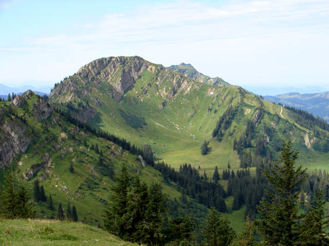 Buralpkopf