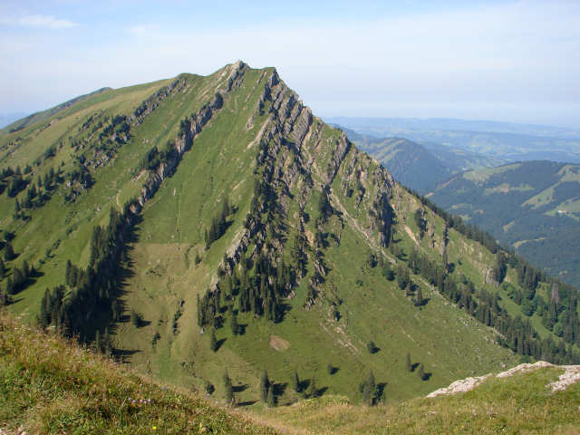 Rindalphorn