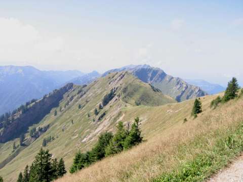 Sederer