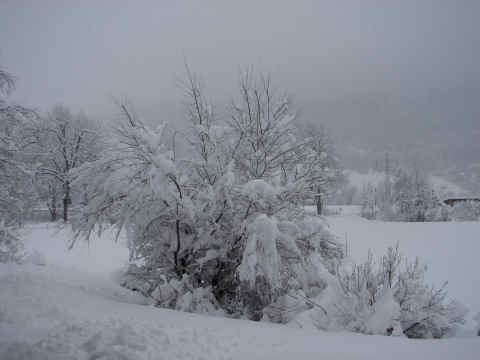 5. M&auml;rz 2006