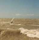 Auf dem Meer