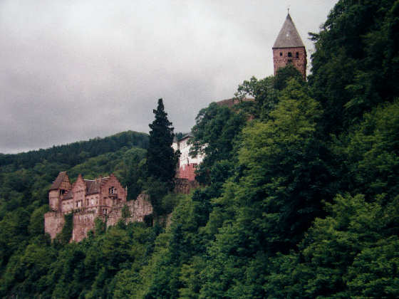 Burg