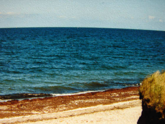 Heiligenhafen