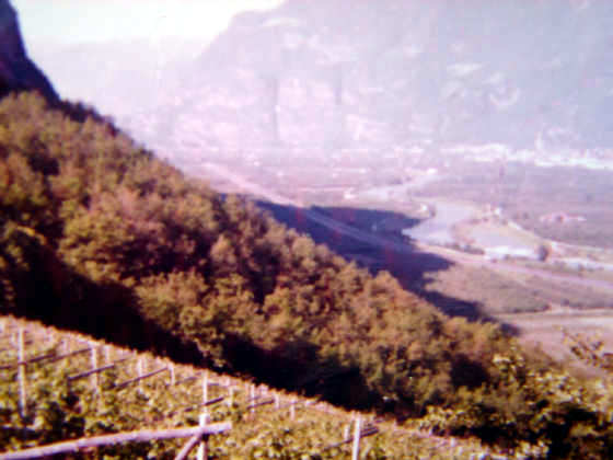 Blick von oben