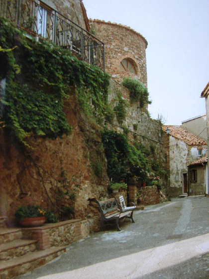 Sassa