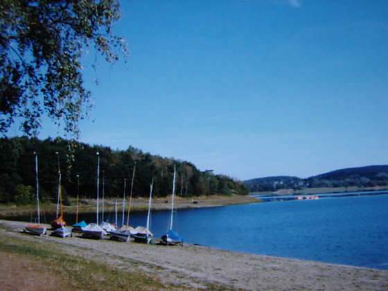 Am See