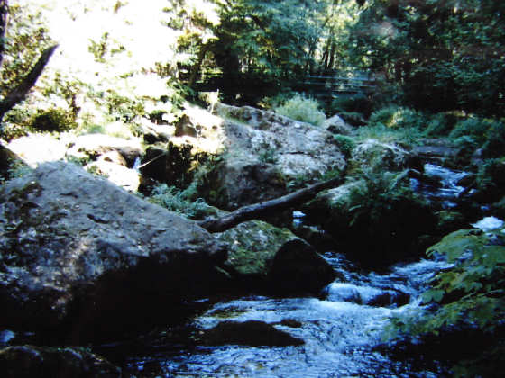 Bachlauf