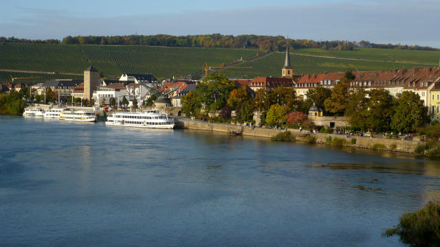 Blick auf den Main